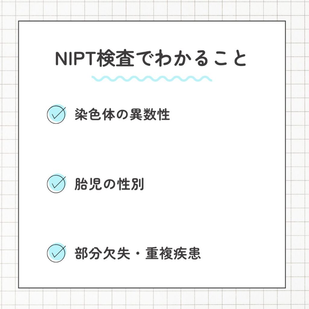 NIPT検査でわかること