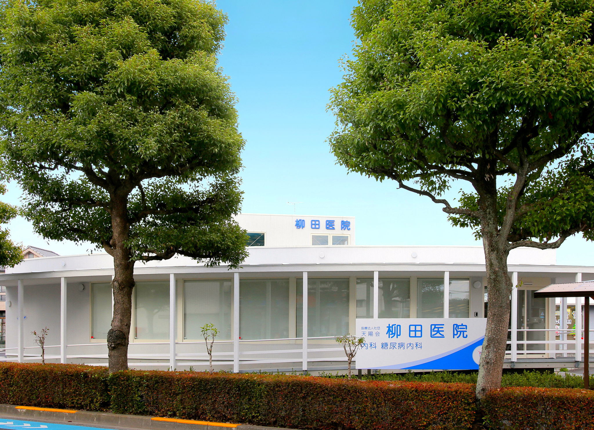 柳田医院の写真1